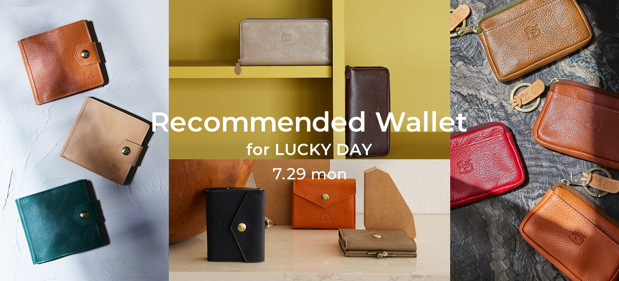ILBISONTE RECOMMENDED WALLET