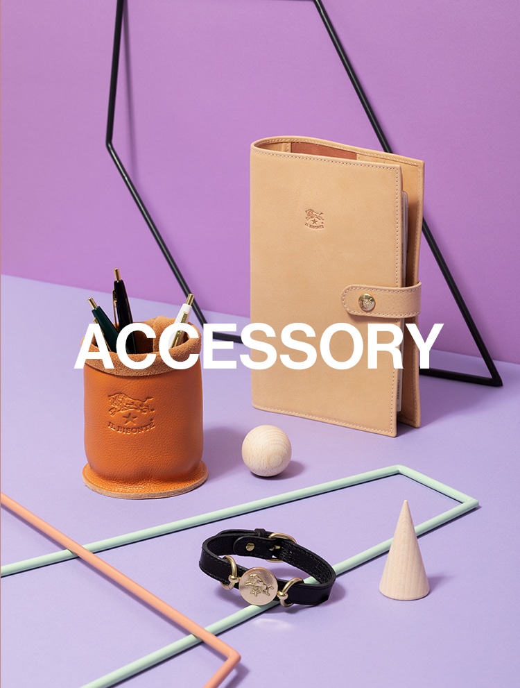 ACCESSORY