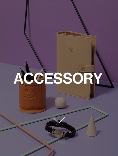 ACCESORY