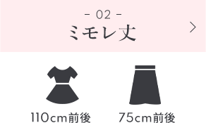 02 ミモレ丈