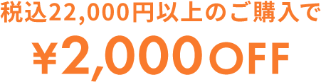 税込22,000円以上のご購入で¥2,000OFF