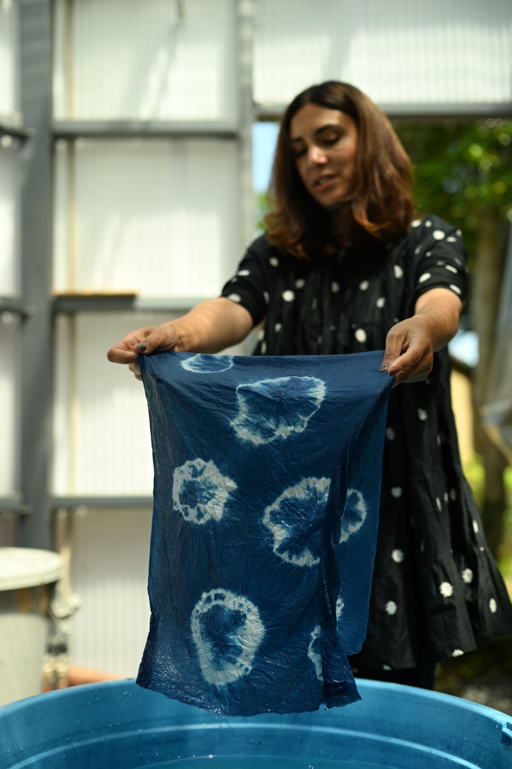 京藍の源流を巡る旅