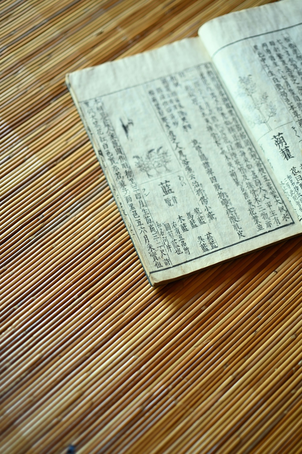 京藍の源流を巡る旅