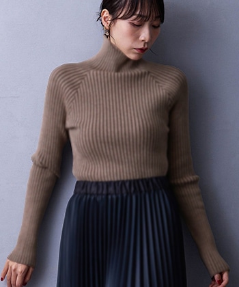 プレーティングリブタートル