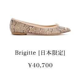 Python Collection 全5アイテム店頭販売スタート